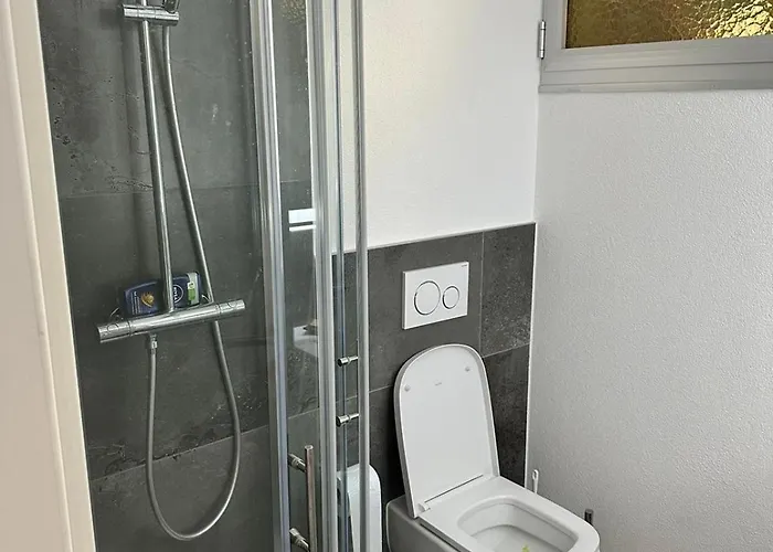 Holiday home Dream With A View Of Maggiore Minusio